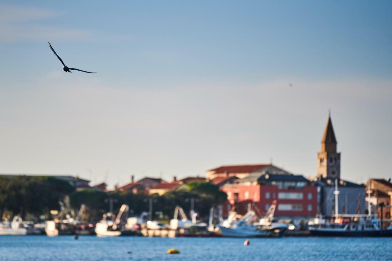 Morning Light Διαμέρισμα Ουμάγκ Εξωτερικό φωτογραφία